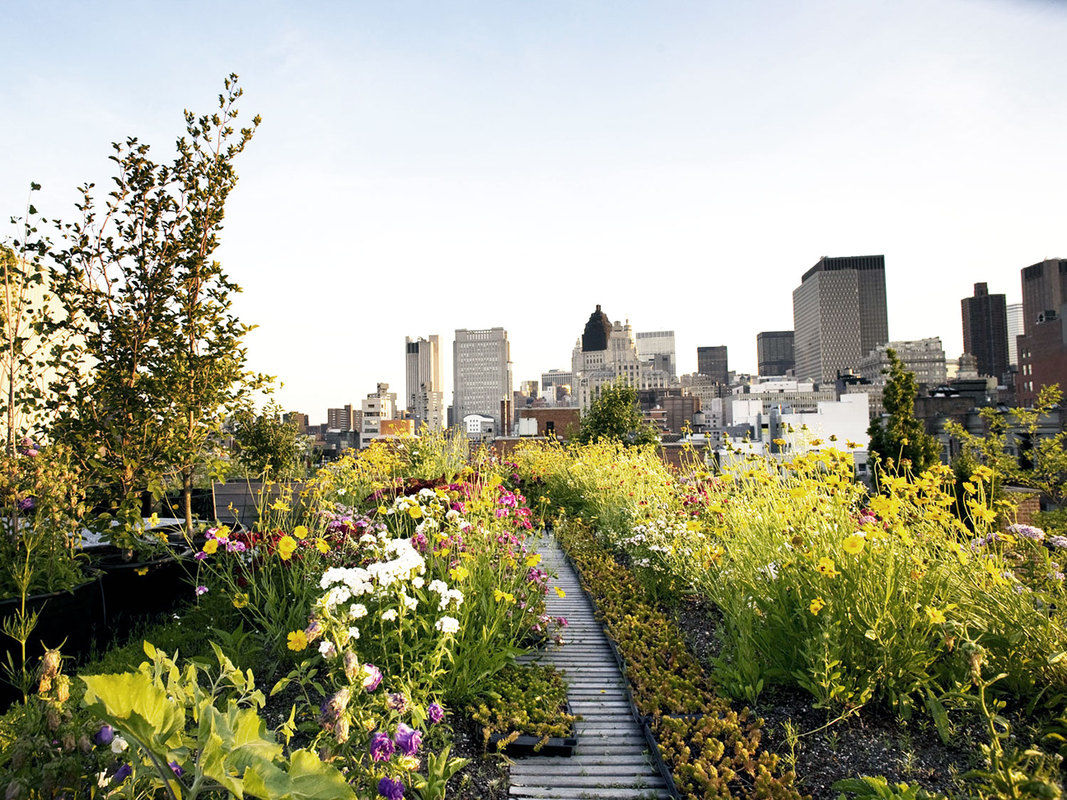 Grand-street-residence_roof-garden-1067-xxx_q80